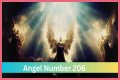 
ANGEL NUMBER 206

