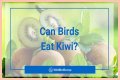 Can Birds Eat Herbs? - Kylon Powell