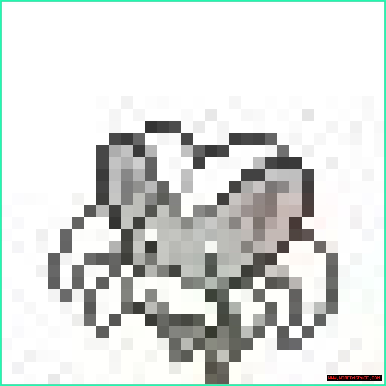 HTML