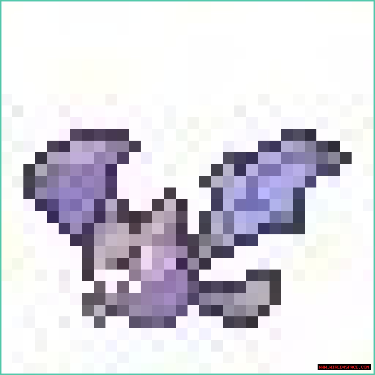 HTML