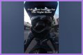 Night Rider Arrested, What Happened To Night Rider?