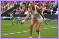 Wimbledon 2021: Aryna Sabalenka vs Karolina Pliskova Preview, Head to Head and Prediction