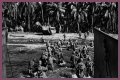 WWII's Most Daring Raids - Smithsonian Channel